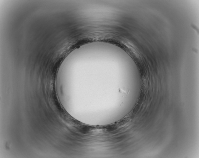 X0000095910499200801110831