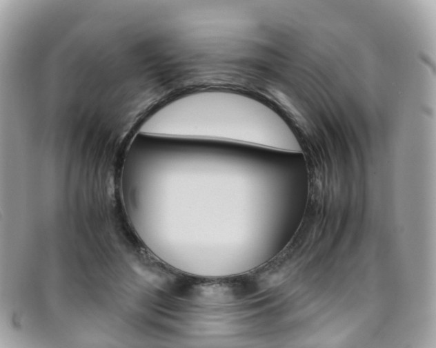 X0000095910500200801110831
