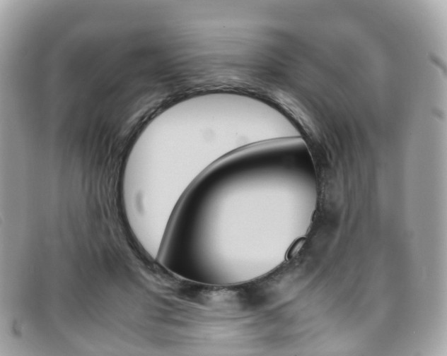 X0000095910501200801110830