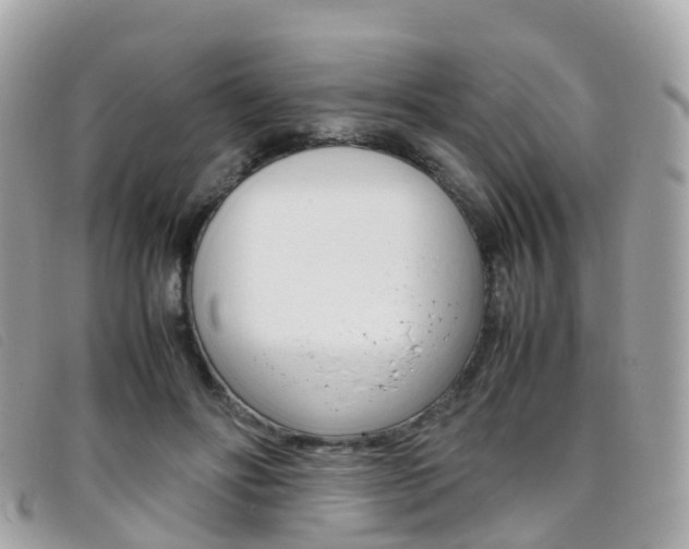 X0000095910502200801110830