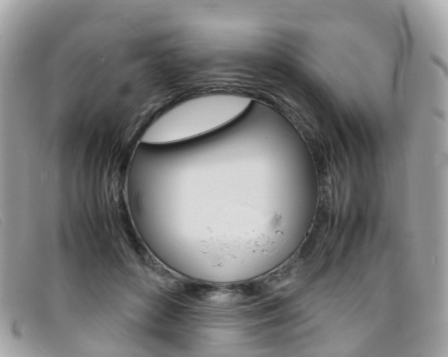 X0000095910504200801110830