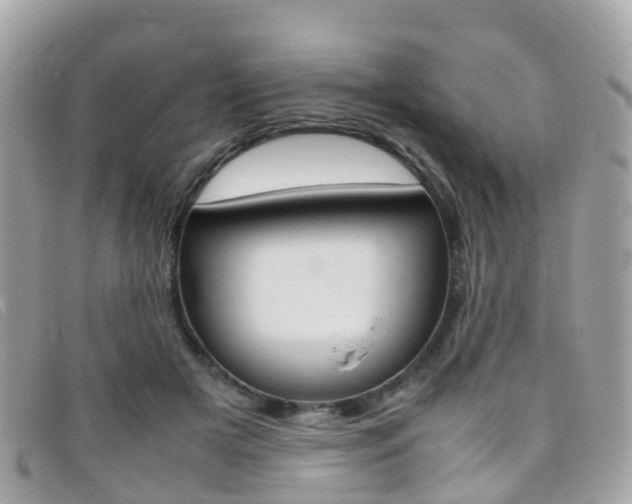 X0000095910505200801110830