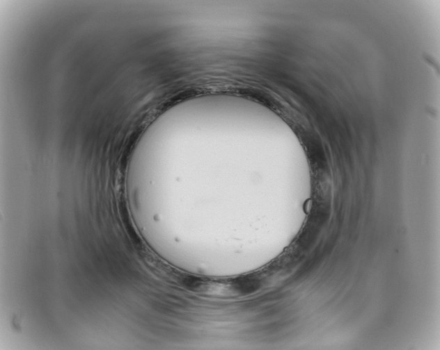 X0000095910507200801110830