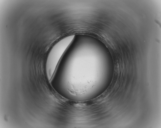 X0000095910508200801110830
