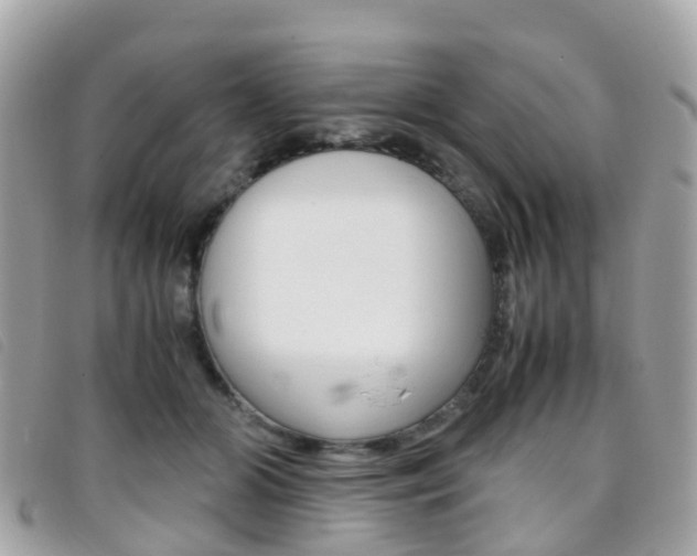X0000095910510200801110830