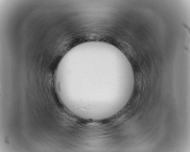 X0000095910511200801110830