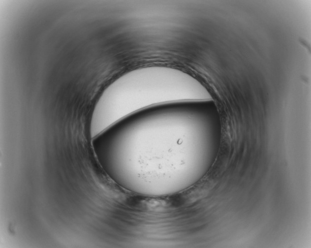 X0000095910512200801110830