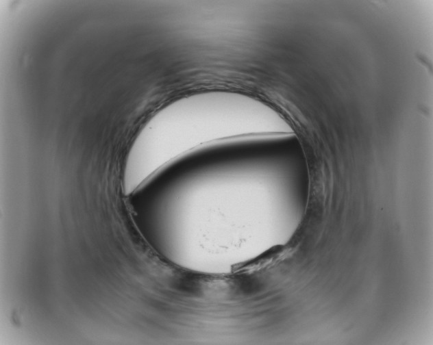 X0000095910513200801110830