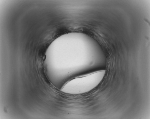 X0000095910515200801110830