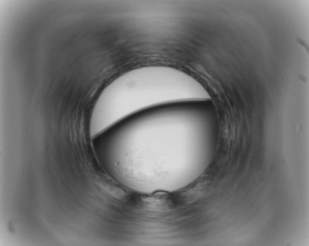 X0000095910516200801110830