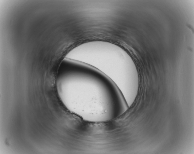 X0000095910517200801110830