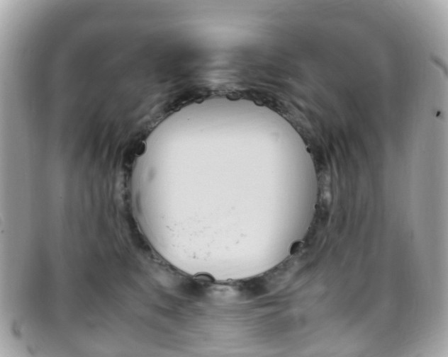 X0000095910519200801110830