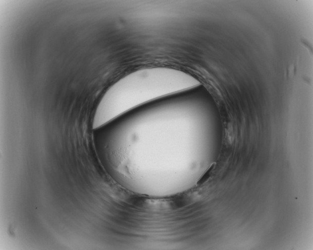 X0000095910520200801110830