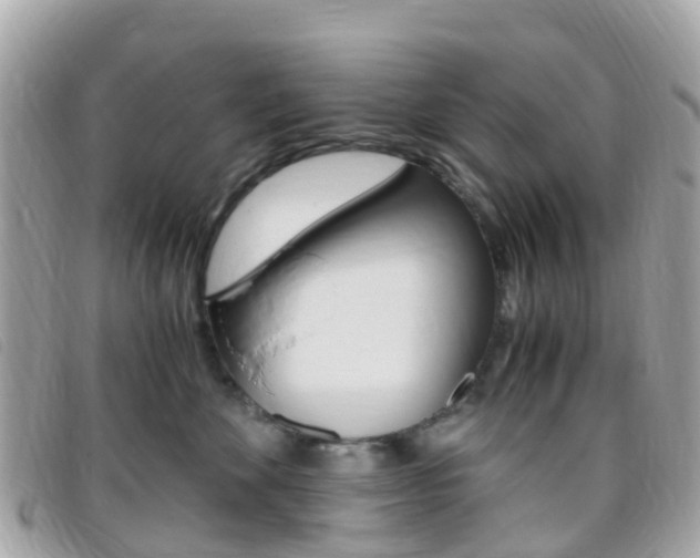 X0000095910524200801110830