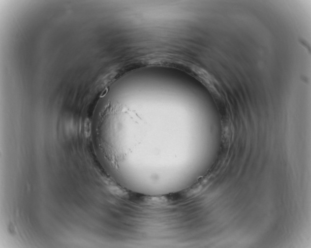 X0000095910525200801110830