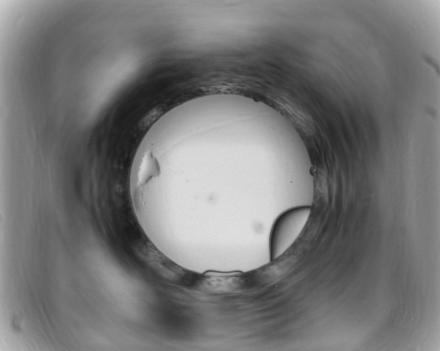 X0000095910526200801110830