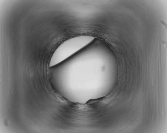 X0000095910528200801110830
