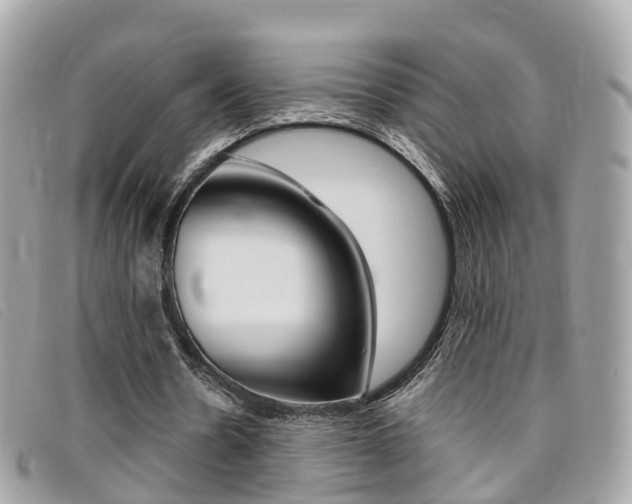 X0000095910530200801110829