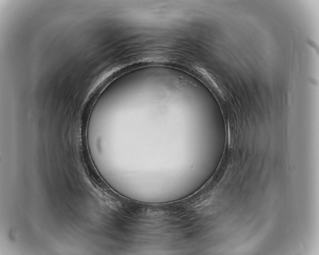 X0000095910531200801110830