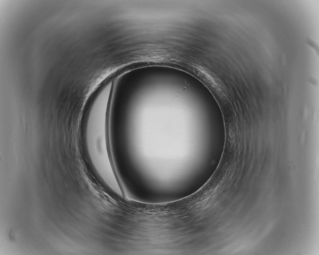 X0000095910532200801110830