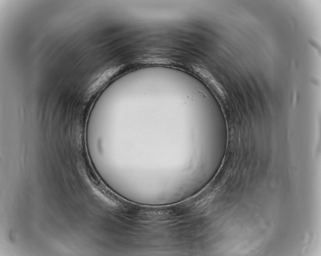 X0000095910533200801110830