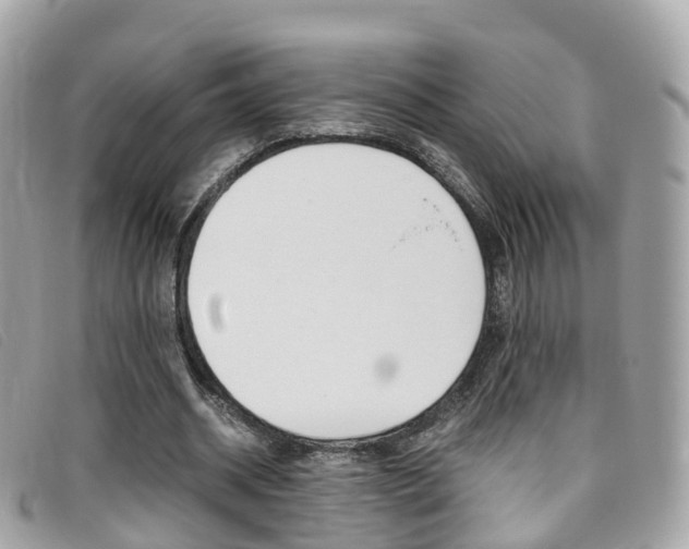 X0000095910534200801110830