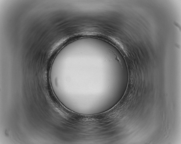 X0000095910535200801110830
