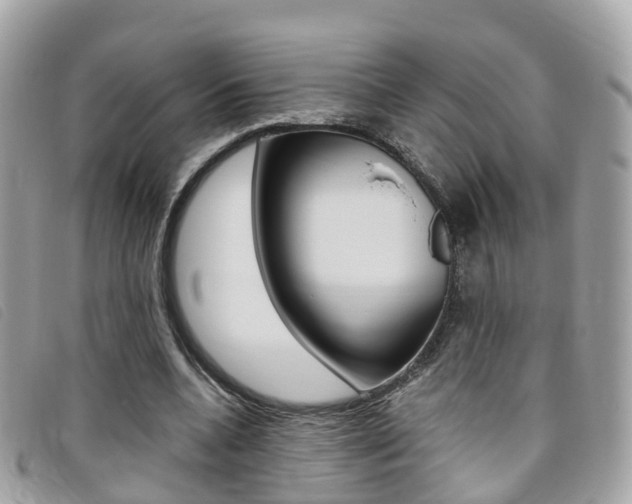 X0000095910536200801110830
