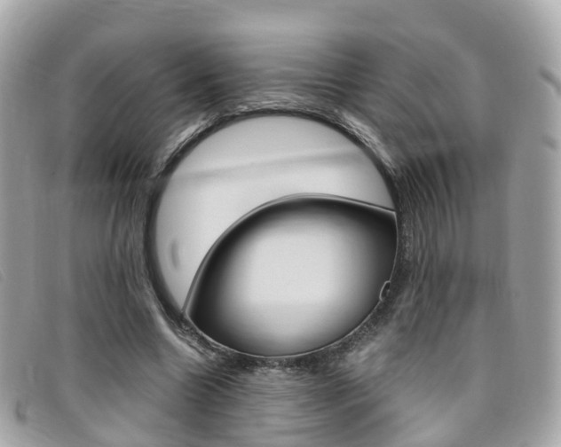 X0000095910538200801110830