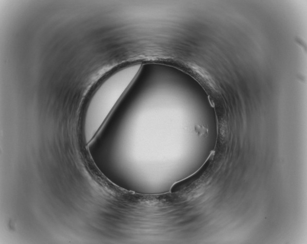 X0000095910540200801110830
