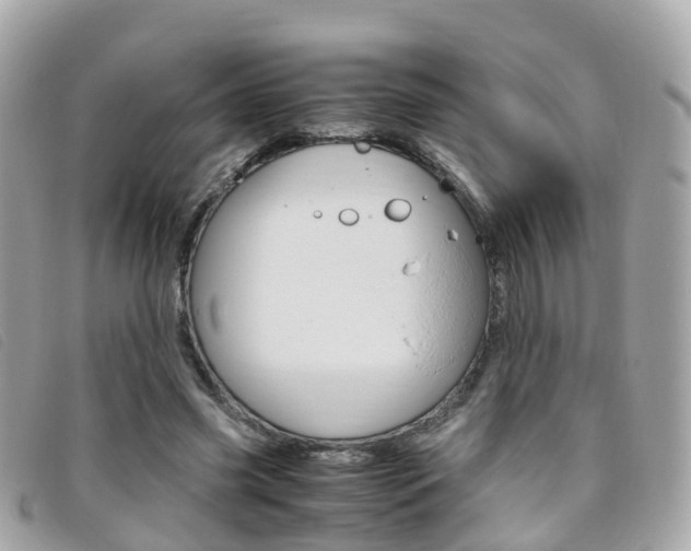 X0000095910541200801110830