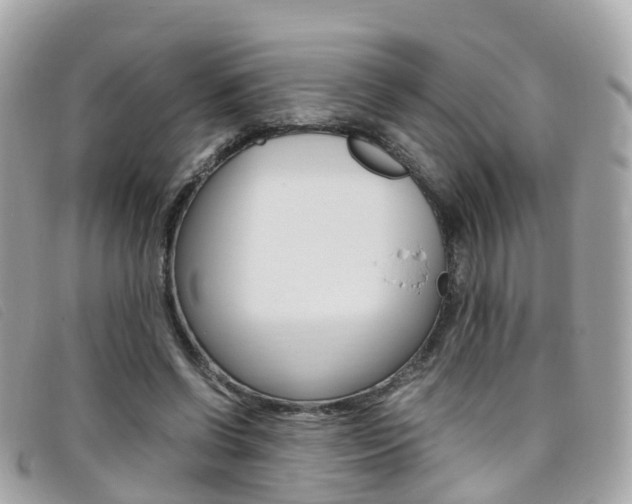 X0000095910542200801110830