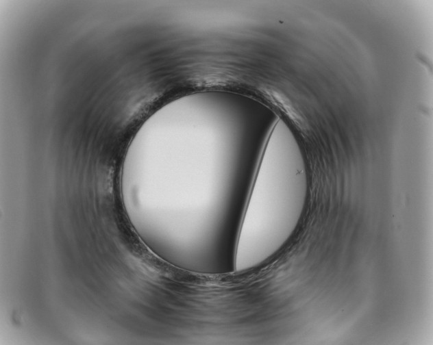 X0000095910543200801110830