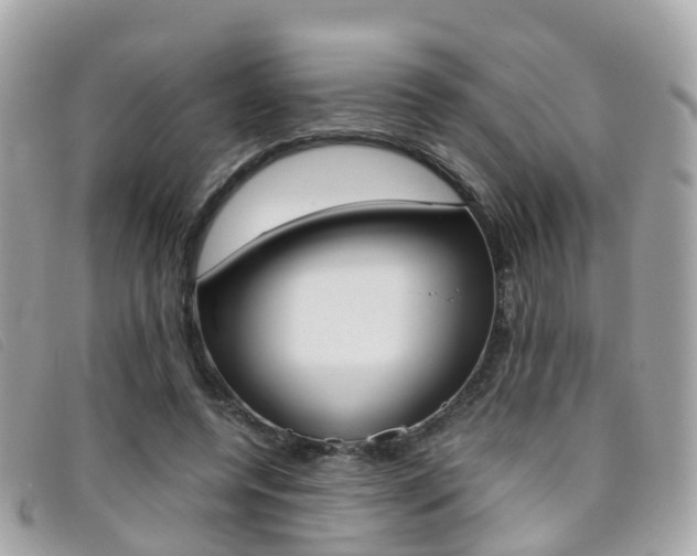 X0000095910544200801110830