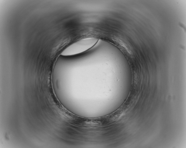 X0000095910545200801110830