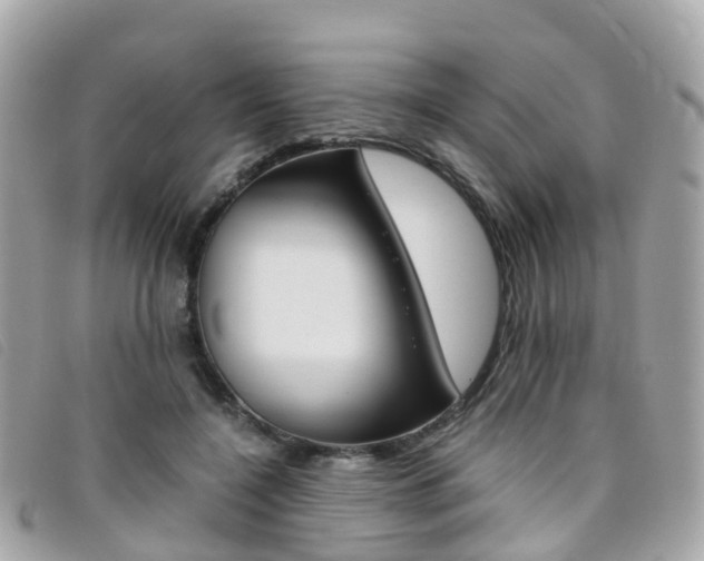 X0000095910548200801110830