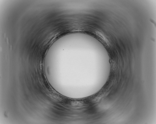 X0000095910549200801110830