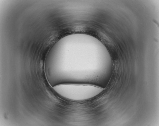 X0000095910550200801110830