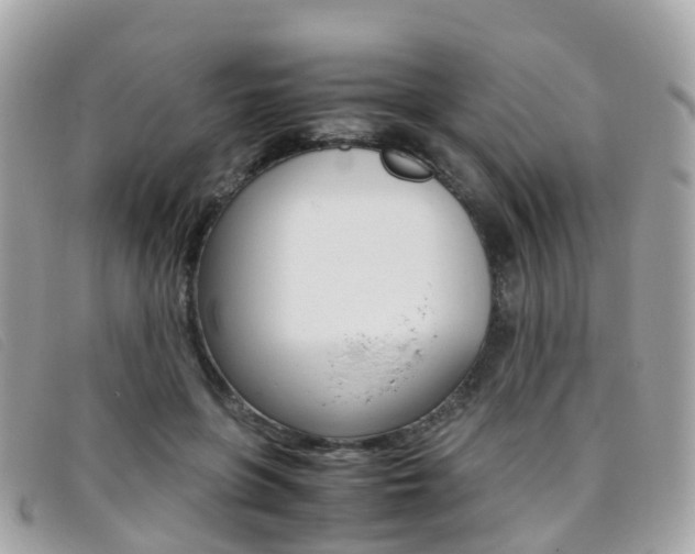 X0000095910551200801110830