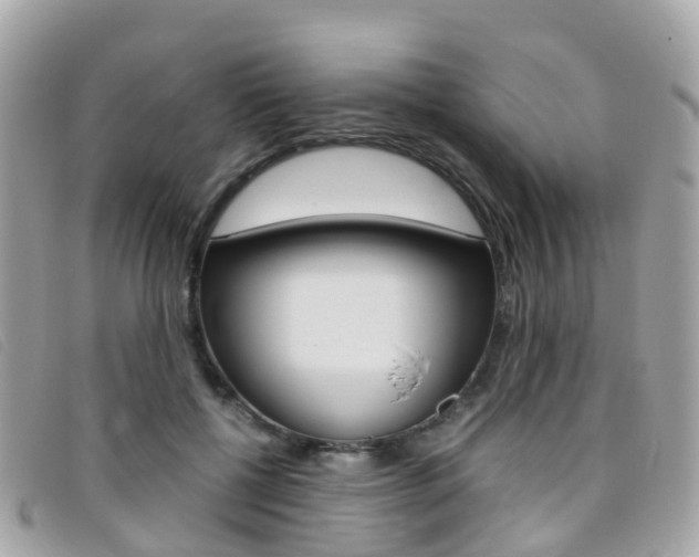 X0000095910552200801110830