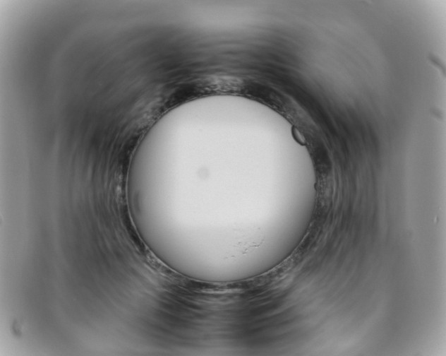 X0000095910553200801110830