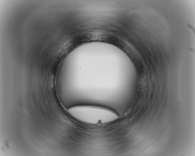 X0000095910554200801110830