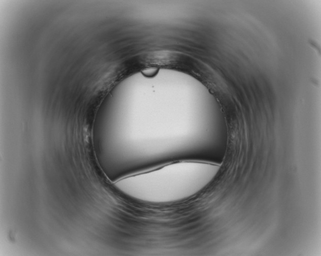X0000095910555200801110830