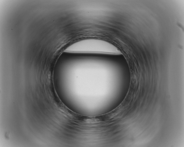 X0000095910556200801110830