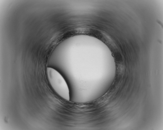 X0000095910557200801110830