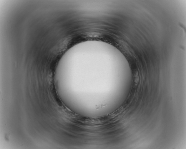 X0000095910559200801110830