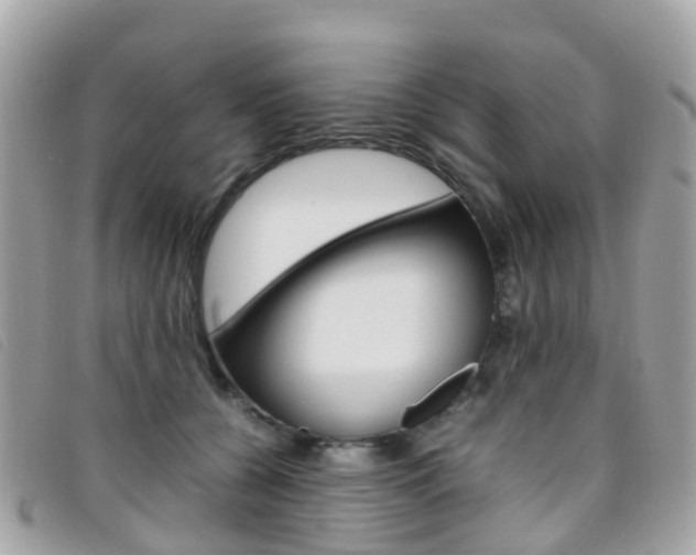 X0000095910560200801110830