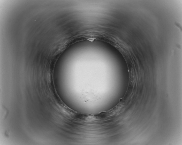 X0000095910562200801110830
