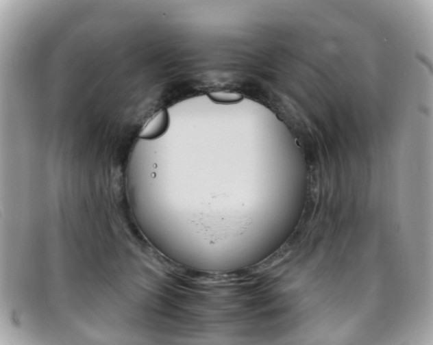 X0000095910563200801110830