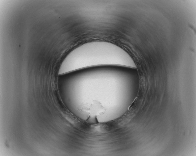 X0000095910564200801110830